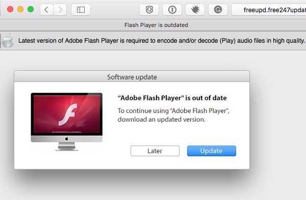 Download latest adobe flash player for mac